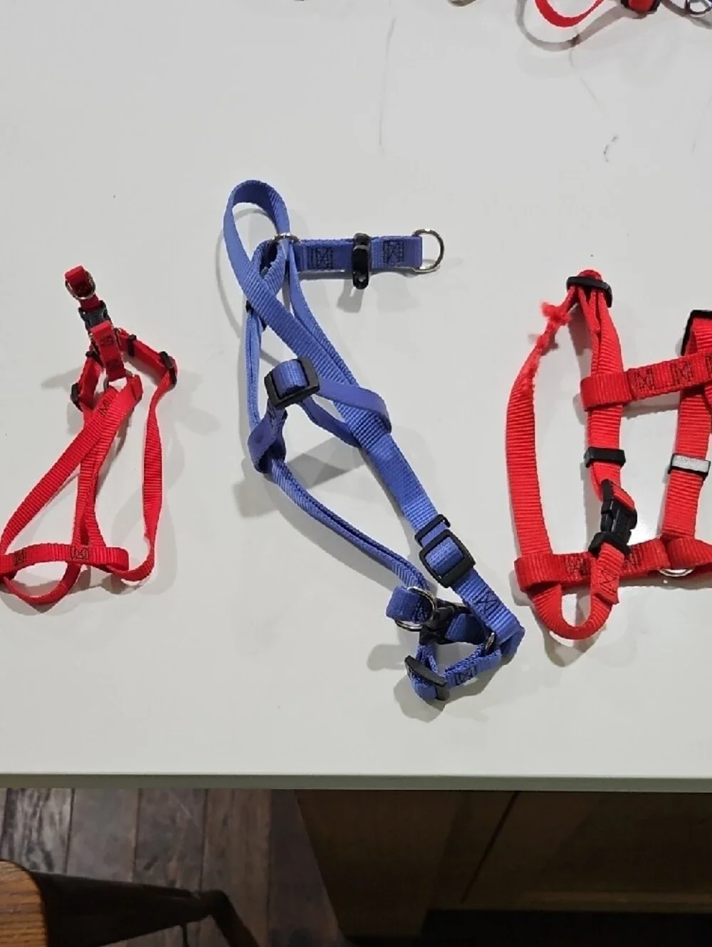 Blue Retractable Dog Leashes with Multi-Color Harnesses NOS